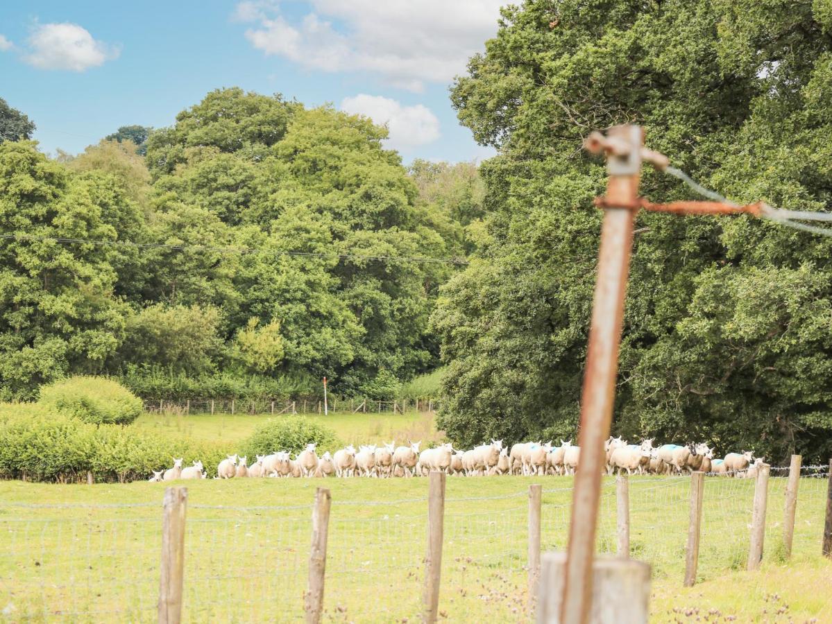 Holly Farm Cottage Newbridge on Wye Экстерьер фото